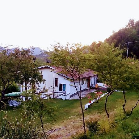 B&B La Casa Del Daino Millesimo 外观 照片