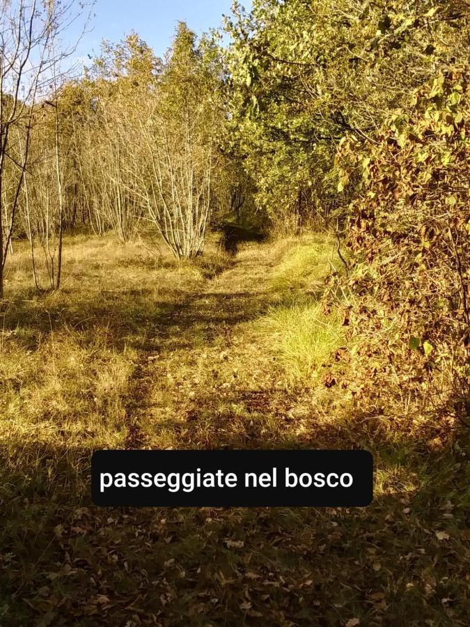 B&B La Casa Del Daino Millesimo 外观 照片