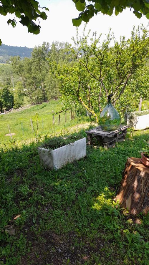 B&B La Casa Del Daino Millesimo 外观 照片